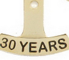 Custom Stock Die Struck Pin (30 Year)