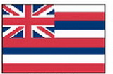 Custom Nylon Hawaii State Indoor/ Outdoor Flag (2'x3')