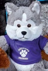 Custom 10'' "Patty" Pals Husky Stuffed Animal