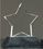 Custom Optical Crystal Star Award (8"), Price/piece