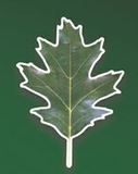 Custom Tree Leaf Magnet - 9.1-11 Sq. In. (30 MM Thick)