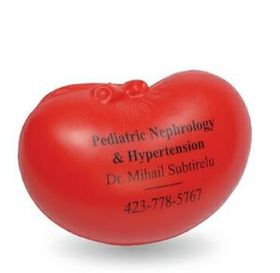 Custom Kidney Stress Reliever Squeeze Toy