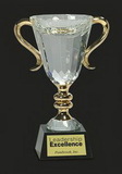 Custom Victorious! L Crystal Cup Trophy Award L, 8 1/2