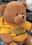 Custom Q-Tee Collection Stuffed Brown Bear, Price/piece