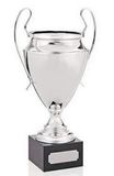 Custom Grand Champion Trophy (16