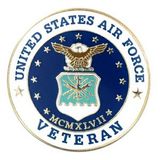 Blank Military - U.S. Air Force Veteran Pin, 1