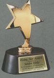 Blank Rising Star Cast Metal Trophy on Rosewood Base (4 3/4