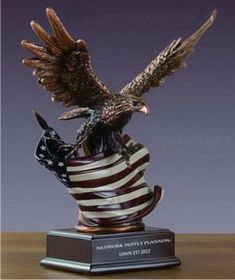 Custom 10" Eagle with American Flag Award