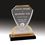 Custom Gold Carved Shield Impress Acrylic Award (8"), Price/piece
