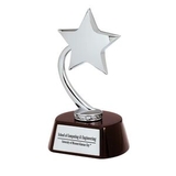 Custom Flying Star Award Trophy