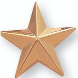 Blank Gold 3 Dimensional Star Pin (1