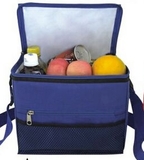 Custom Family Size Cooler Bag w/ Adjustable Handle