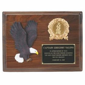 8"x10" Eagle Plaque, w/Hand Painted Eagle, Takes 2" Insert