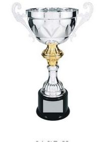 Custom Silver Plated Aluminum Cup Trophy w/ Plastic Base (14.5")