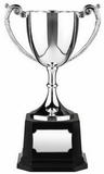 Custom Swatkins Endurance 2 Patterned Handle Cup Award (16.75