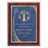 Custom Wall Plaque w/ Blue Rising Star Achievement Plates (7