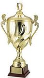 Custom Super Achievement Trophy (27 1/4