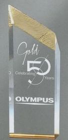 Blank Glacier Tower Series Award w/ Gold Tinting (3 1/2"x10")