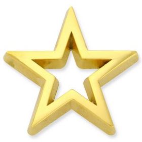 Blank Star - Gold 3-D Cut-Out Pin, 7/8" W
