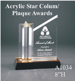 Custom Acrylic Star Column Plaque Award (8