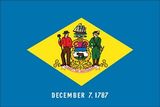 Custom Delaware Nylon Outdoor State Flag (4'x6')
