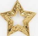 Custom Etched Cut Out Star Stock Cast Pin