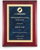 Blank Rosewood Piano Finish Plaque w/ Blue Engraving Plate (9