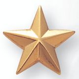 Blank Gold 3 Dimensional Star Pin (5/8