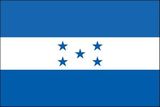 Custom Honduras Endura Poly Outdoor UN O.A.S Flags of the World (3'x5')