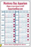 Custom 2-Color Business & Information Panel Wallet Card - Special-Dated Calendar