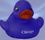 Custom Violet Cutie More Colorful Duck, Price/piece