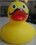 Custom Rubber Mustache Duck, Price/piece