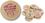 AAKRON Custom Wooden Nickel w/ Stock Indian Head Logo, 1 1/2" Diameter X 1/8" Thick, Price/piece