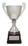 Custom Silver Harrington Cup Award, 10.25