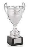 Custom Grand Champion Trophy Cup (18