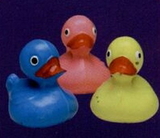 Custom Floating Duck