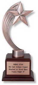 Custom Bronze Rising Star Trophy (11")