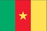 Custom Nylon Cameroon Indoor/ Outdoor Flag (3'x6')