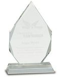 Custom Prism Optical Crystal Award (9