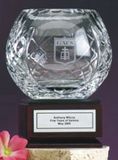 Custom Crystal Rose Bowl Award (5