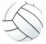 Blank Inflatable Volleyball (14