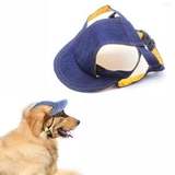 Custom Doggie Hat