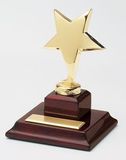 Custom Shining Star Award