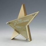 Custom Stellar Acrylic Star Award w/ Gold Gilded Stonecast Base (9 1/2
