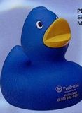 Custom Blue Sweetie Colorful Duck