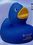 Custom Blue Sweetie Colorful Duck, Price/piece