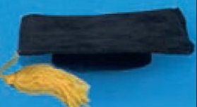 Custom 3"X3" Velvet Graduation Hat Accessory For Stuffed Animal