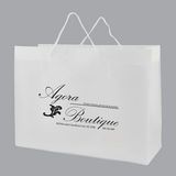 Custom Frosted Eurotote Bag (16