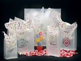 Custom Frosted Clear Poly Die Cut Bag/ 4 MIL (9