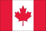 Custom Canada Endura Poly Outdoor UN O.A.S Flags of the World (3'x5')